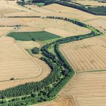 Das Grüne Band zwischen Thüringen und Niedersachsen bei Freiendorf. Foto: Klaus Leidorf